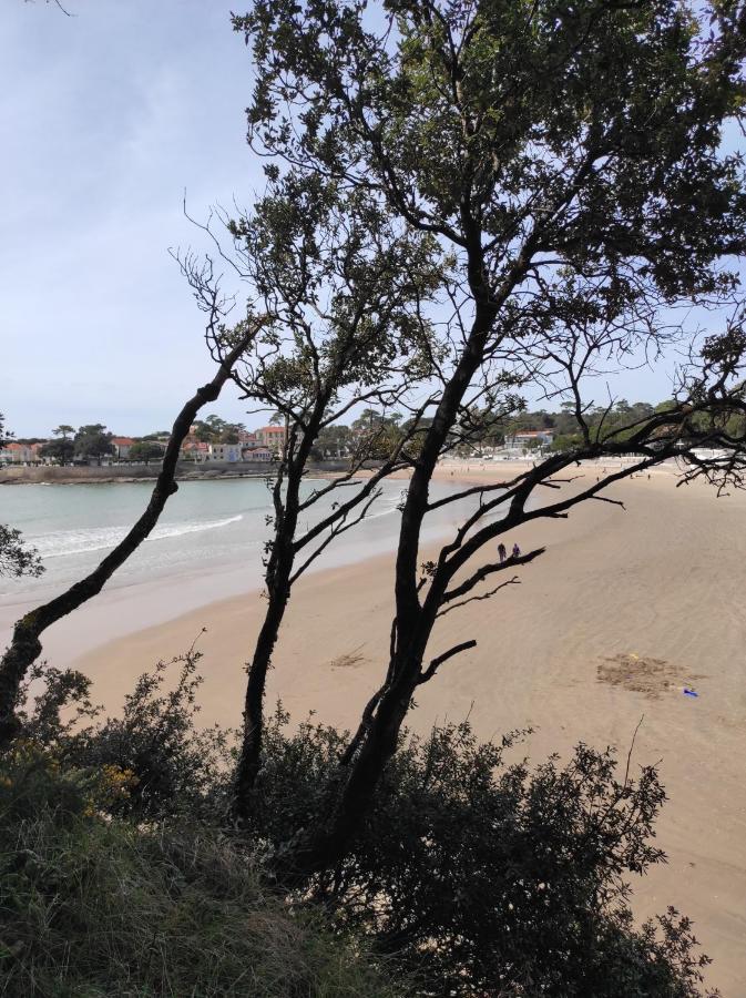 A L'Abordage, Appartement 2 Pieces Plage De Nauzan Vaux-sur-Mer Luaran gambar